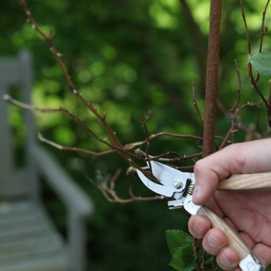 Tuin&Terras Esschert Design Handgereedschap | Rvs Tuin Multitool