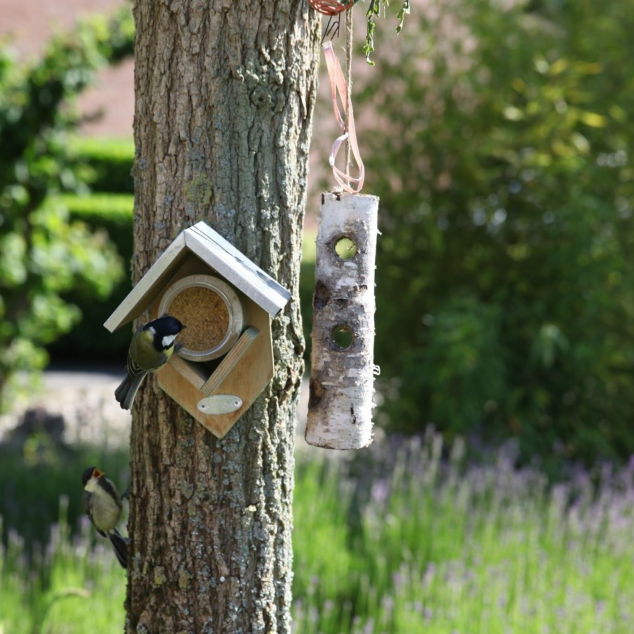 Vogels&Tuindieren Esschert Design Pindakaas | Vogelpindakaas Met Stukjes Noot