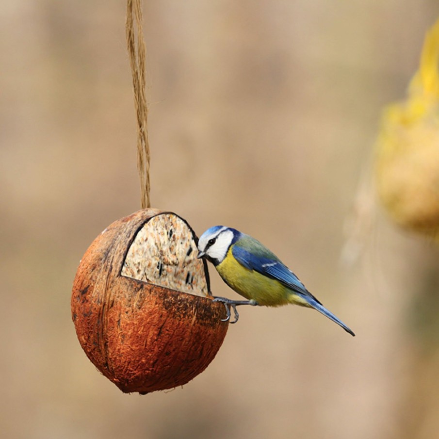 Vogels&Tuindieren Esschert Design Decoratief | Gevulde Kokosnoot