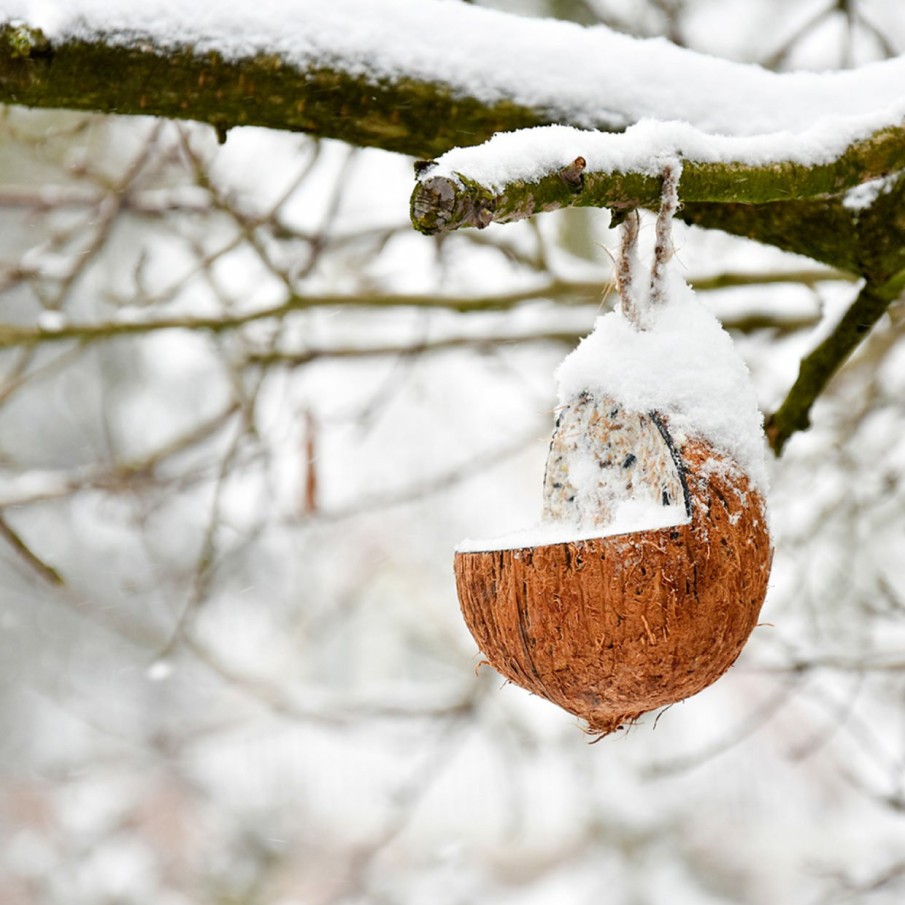 Vogels&Tuindieren Esschert Design Decoratief | Gevulde Kokosnoot