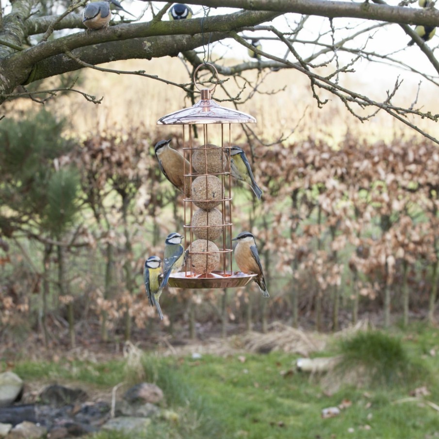 Vogels&Tuindieren Esschert Design Voedersilo's | Verkoperde Vetbollenautomaat