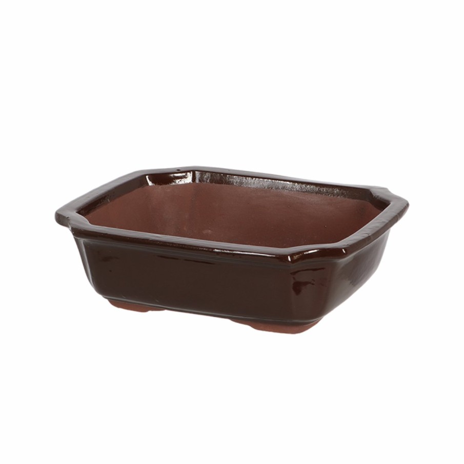 Indoor Esschert Design Bloempotten en -bakken | Bonsai Pot Rechthoekig M