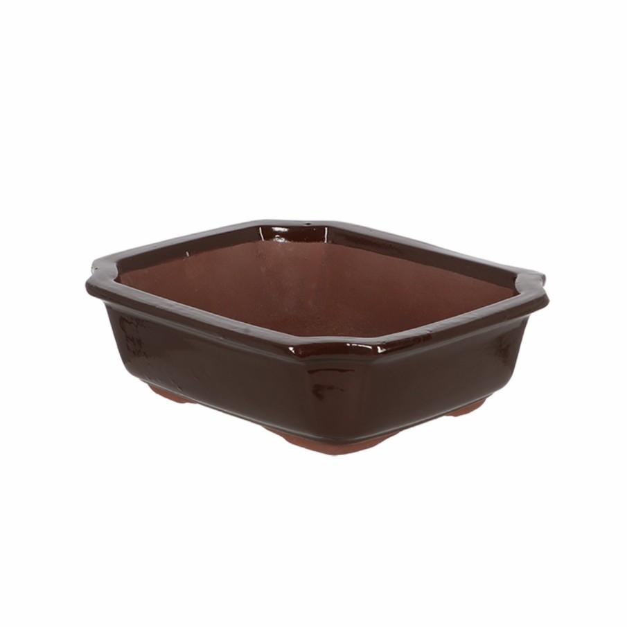 Indoor Esschert Design Bloempotten en -bakken | Bonsai Pot Rechthoekig M