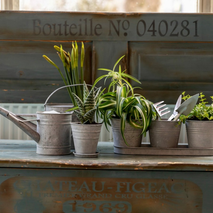 Tuin&Terras Esschert Design Plantenschotels | Oud Zink Schotel Voor 12 Cm Pot