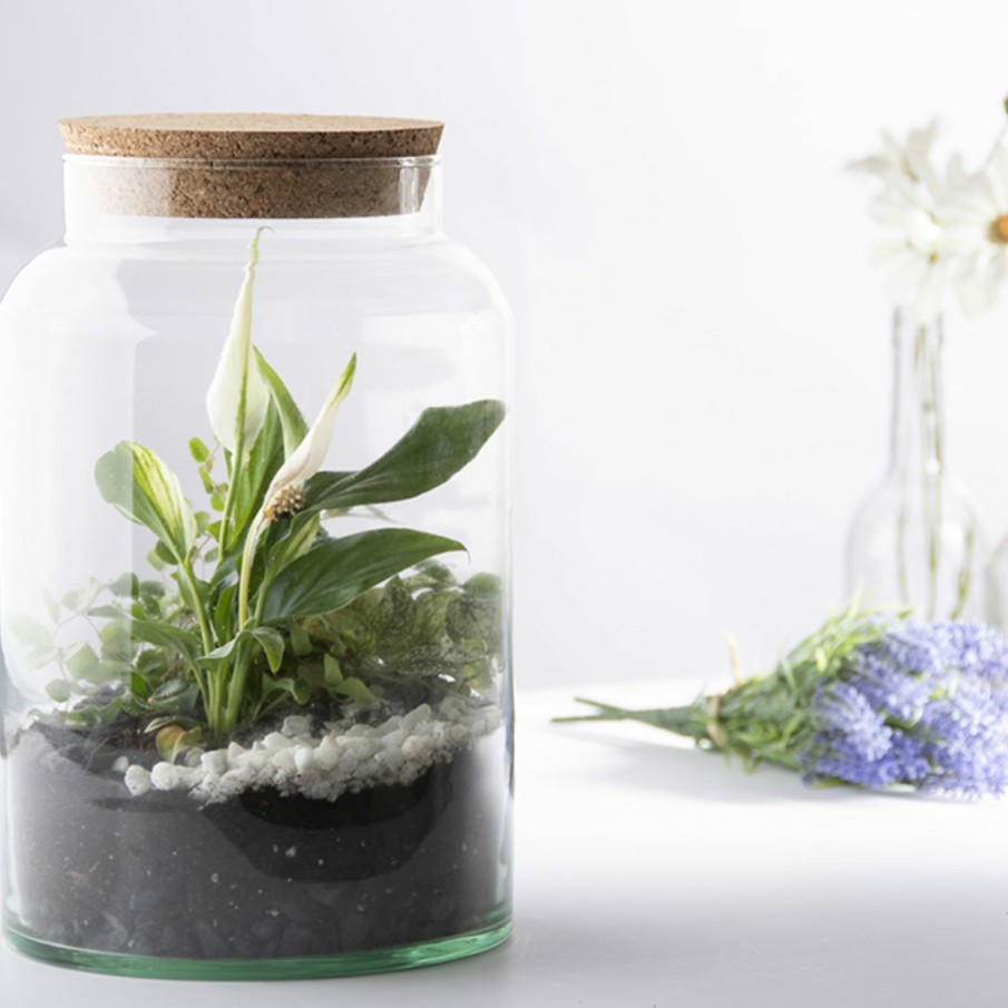 Indoor Esschert Design Halfopen | Half Open Terrrarium Fles M