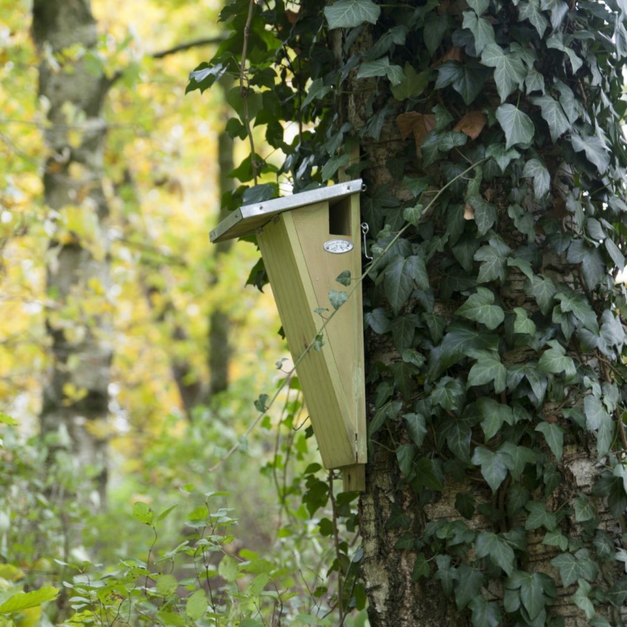 Vogels&Tuindieren Esschert Design Boomkruipers | Nestkast Boomkruiper