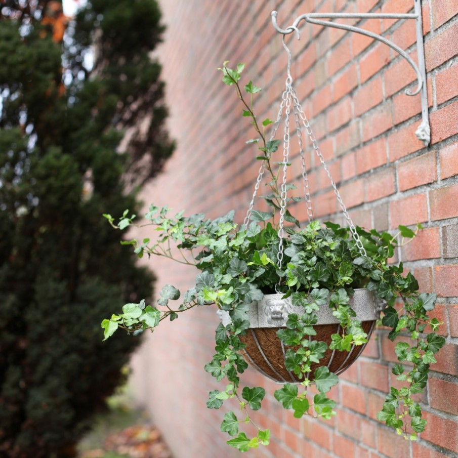 Tuin&Terras Esschert Design Wandhaken | Am Leeuw Hanging Basket Haak