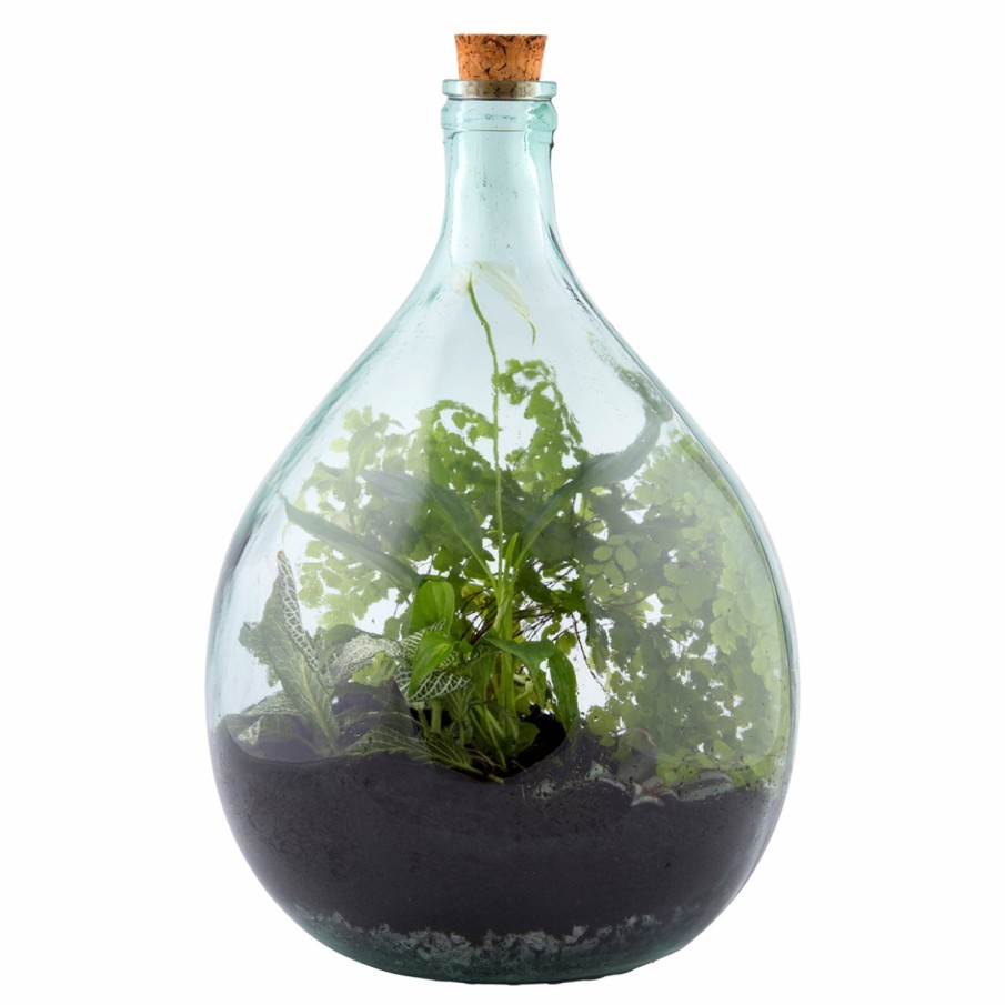 Indoor Esschert Design Gesloten | Terrariumfles 15 Liter Set