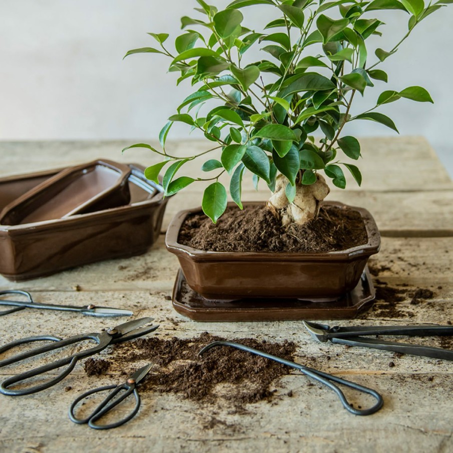 Indoor Esschert Design Handgereedschap | Bonsai Concaaftang