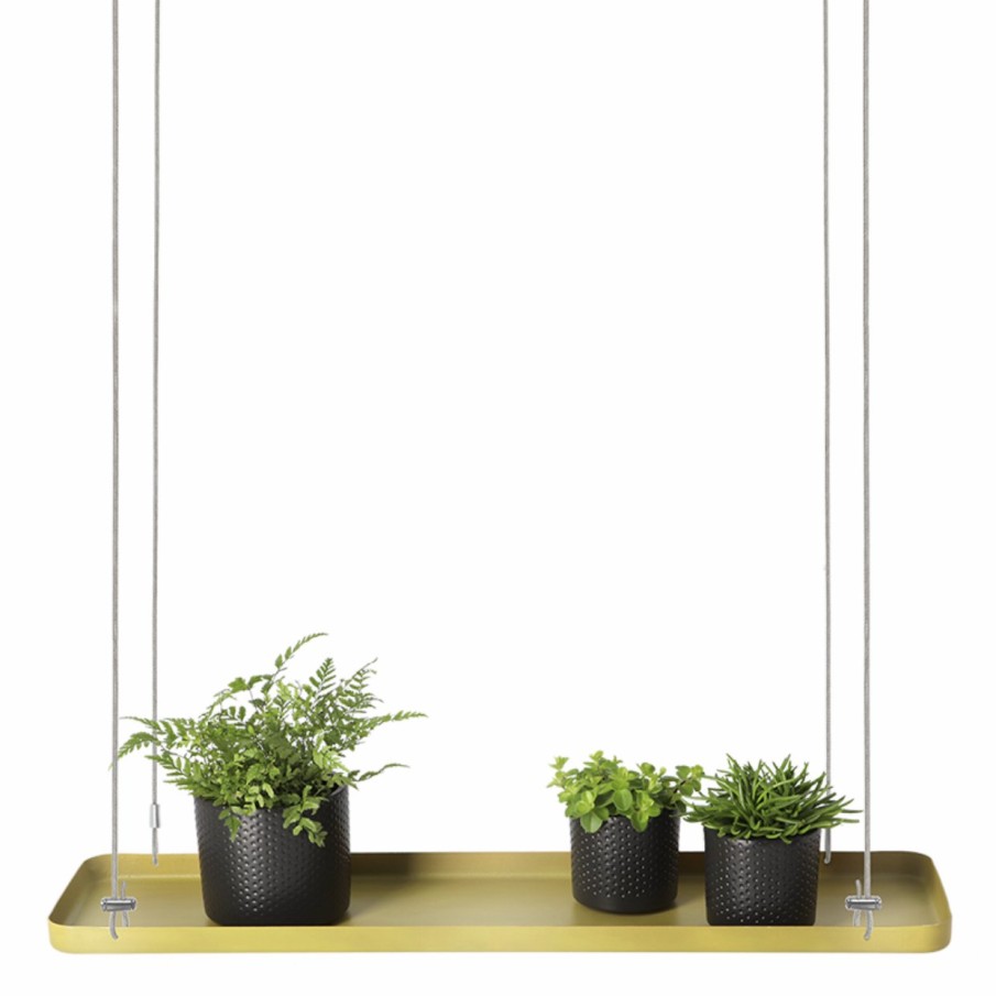 Indoor Esschert Design Rechthoekige plantenplateaus | Rechthoekig Gouden Plantenplateau L