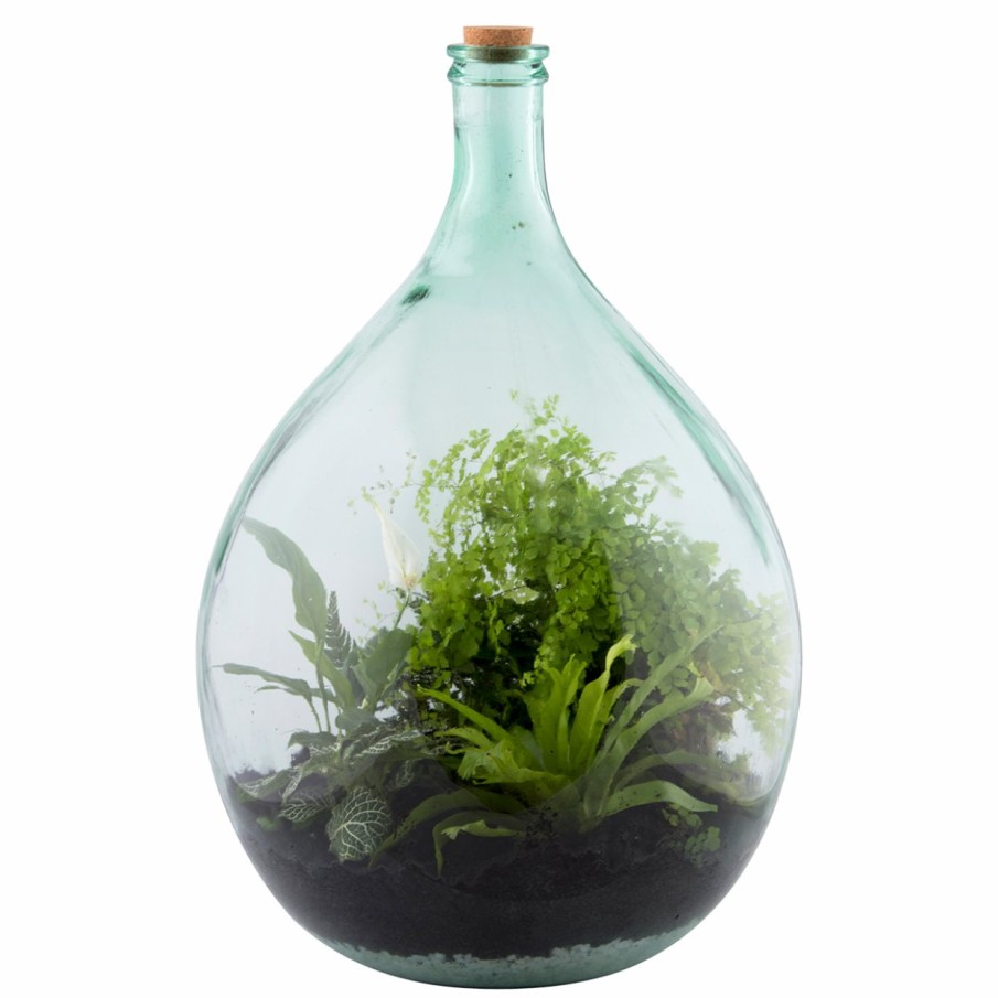 Indoor Esschert Design Gesloten | Terrariumfles 55 Liter Set