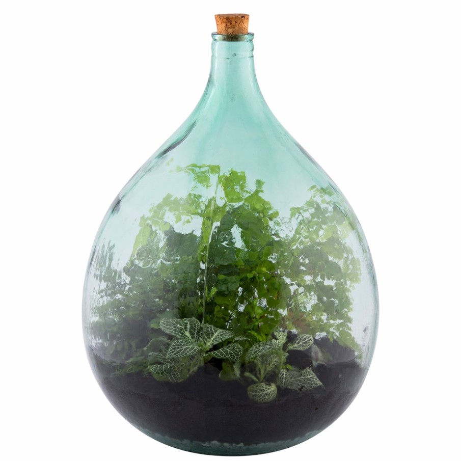 Indoor Esschert Design Gesloten | Terrariumfles 35 Liter Set