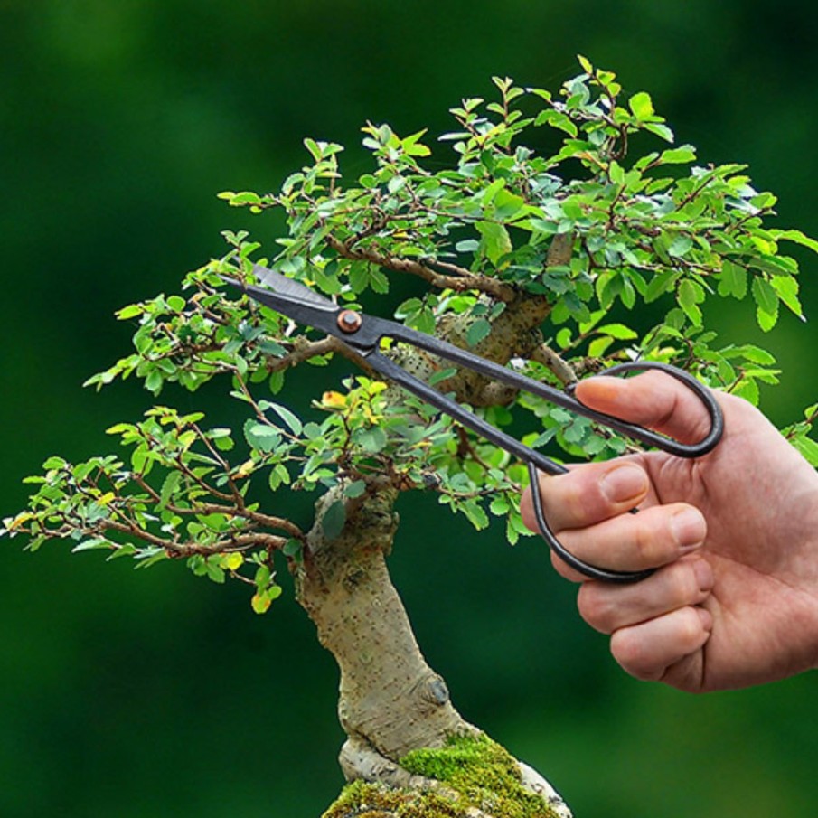 Indoor Esschert Design Handgereedschap | Bonsai Takschaar Smal